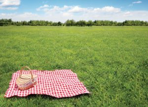 Picknickdecken-Verleih_Julian Kroger_F232A53A