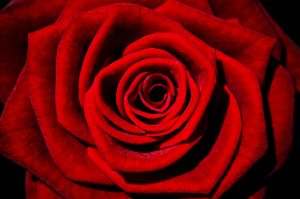Sprungbrett _Der Bachelor__Meike Gnas_681C2C73