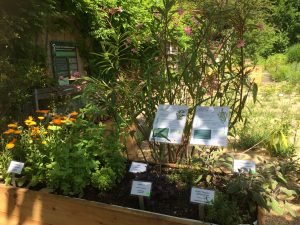 Botanischer Garten