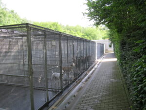 Tierheim