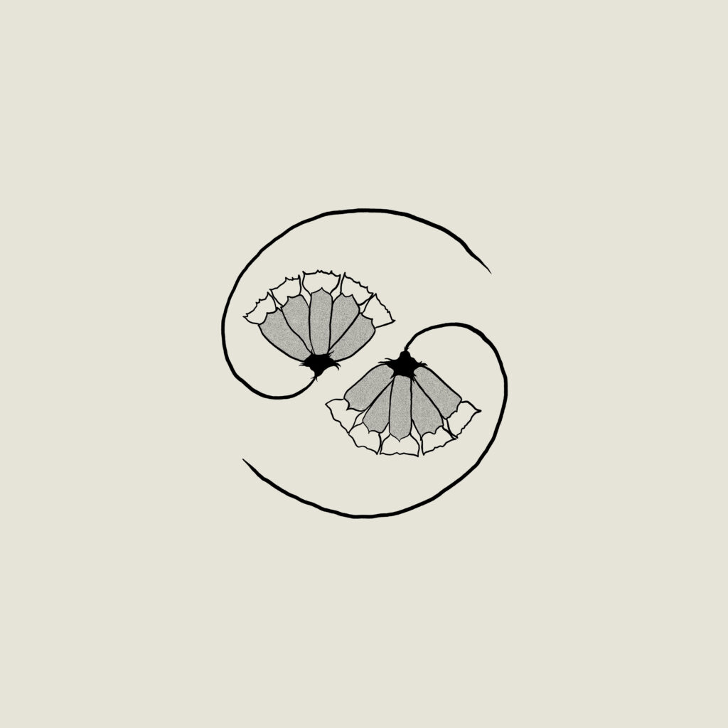 CST156_CoverFinal_3600px