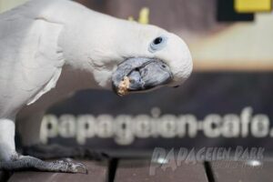 Anna Zeller Papageienpark