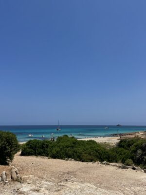 IMG_3426