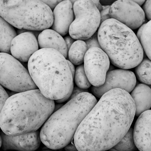 Feierabend_Kartoffeln